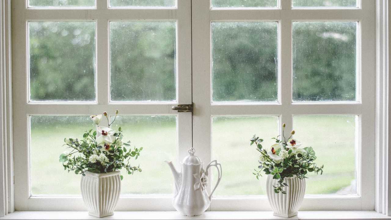 Window with Small Green Plants in Front