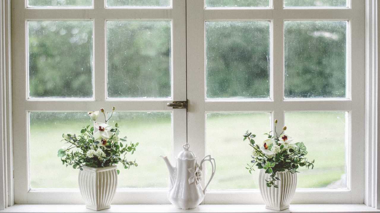 Window with Small Green Plants in Front White-framed window with two white vases of flowers and a white teapot arranged on the windowsill, overlooking a green garden.